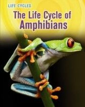 Life Cycle of Amphibians