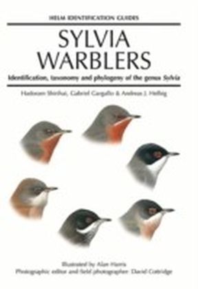 Sylvia Warblers