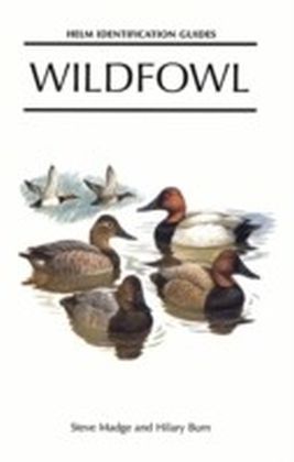 Wildfowl main product photo
