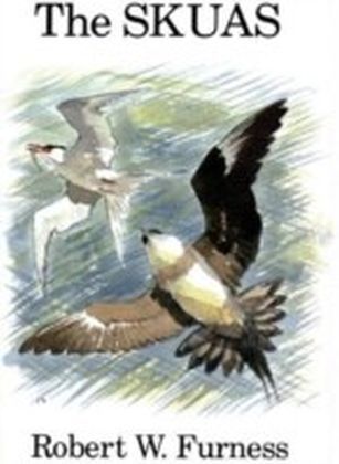 Skuas main product photo