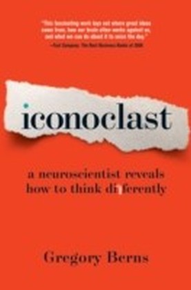 Iconoclast main product photo