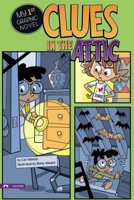 Clues in the Attic main product photo