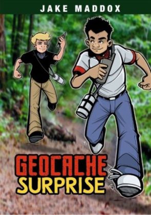 Geocache Surprise