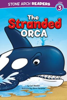 Stranded Orca