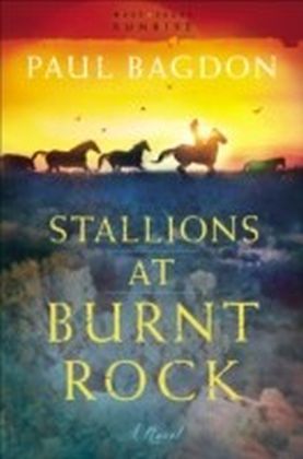 Stallions at Burnt Rock