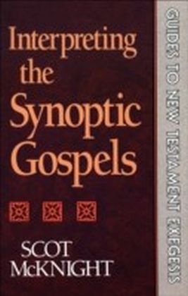 Interpreting the Synoptic Gospels main product photo