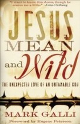Jesus Mean and Wild main product photo