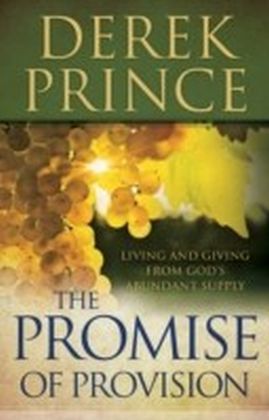 The Promise of Provision