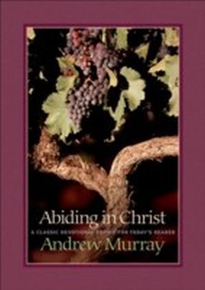 Abiding in Christ main product photo