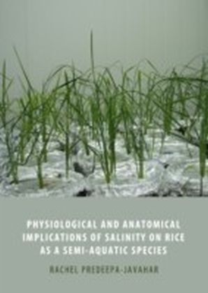 Physiological and Anatomical Implications of Salinity on Rice as a Semi-Aquatic Species