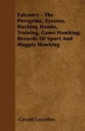 Falconry - The Peregrine, Eyesses, Hacking Hawks, Training, Game Hawking, Records Of Sport And Magpie Hawking
