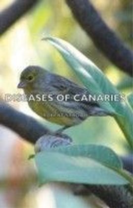 Diseases of Canaries