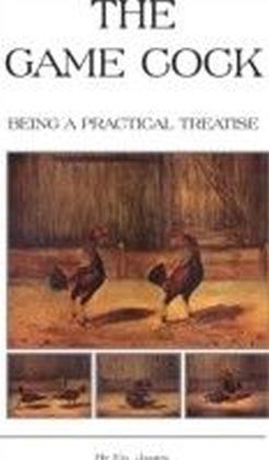 Game Cock - Being a Practical Treatise on Breeding, Rearing, Training, Feeding, Trimming, Mains, Heeling, Spurs, etc. (History of Cockfighting Series)