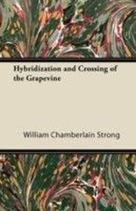 Hybridization and Crossing of the Grapevine main product photo