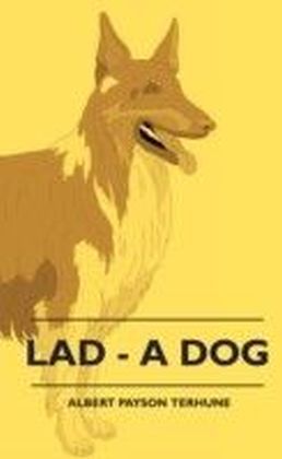 Lad - A Dog