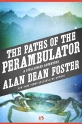 A Spellsinger Adventure - Paths of the Perambulator
