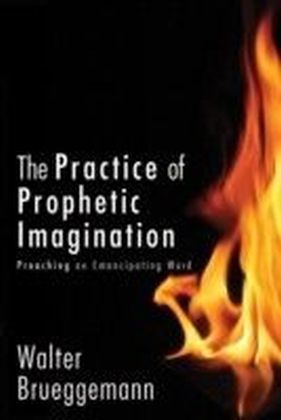 Practice of Prophetic Imagination main product photo