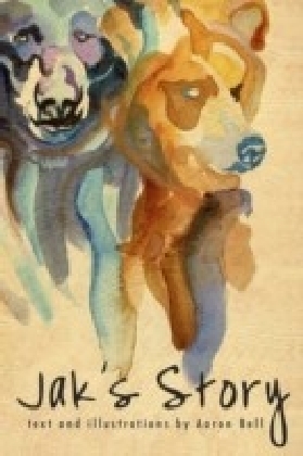Jak's Story