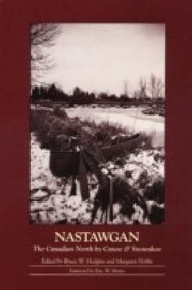 Nastawgan main product photo