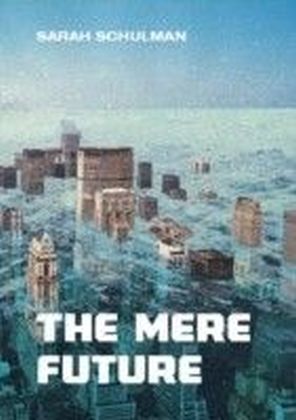 Mere Future