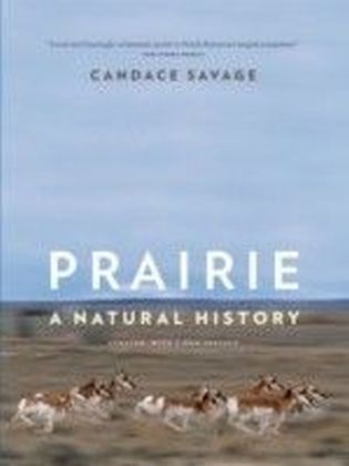 Prairie