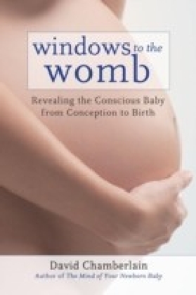 Windows to the Womb main product photo