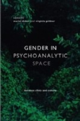 Gender in Psychoanalytic Space main product photo