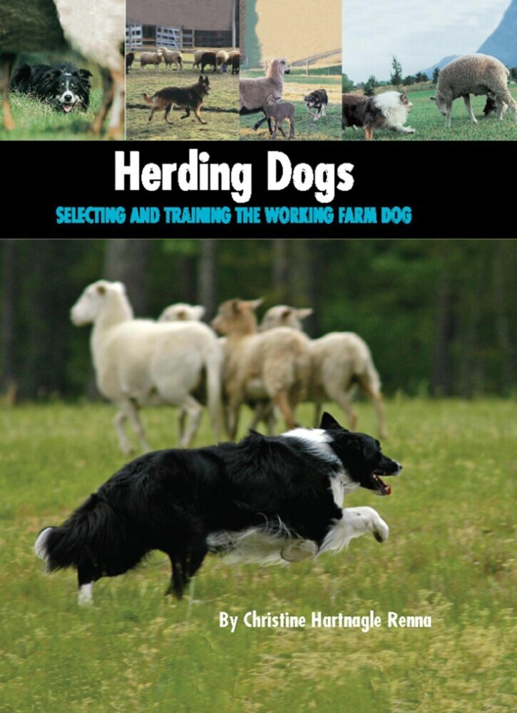 Herding Dogs main product photo