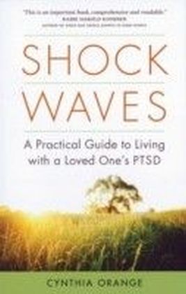 Shock Waves main product photo