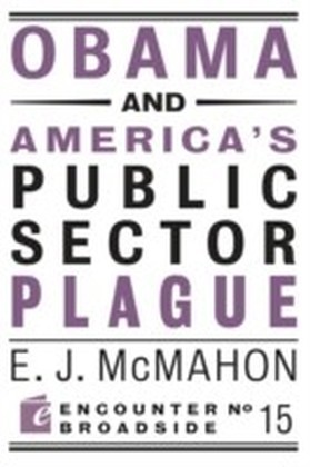 Obama and America's Public Sector Plague main product photo