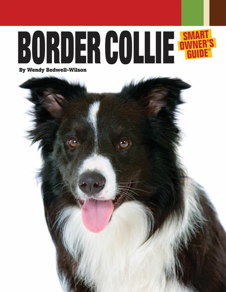 Border Collie main product photo