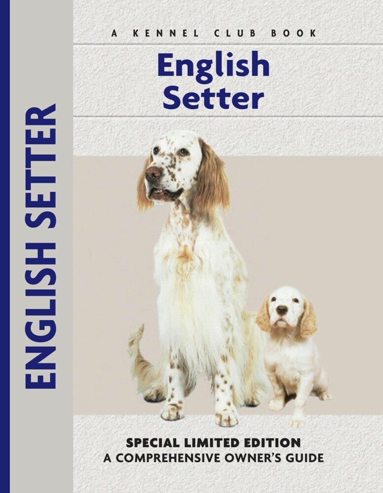 English Setter main product photo
