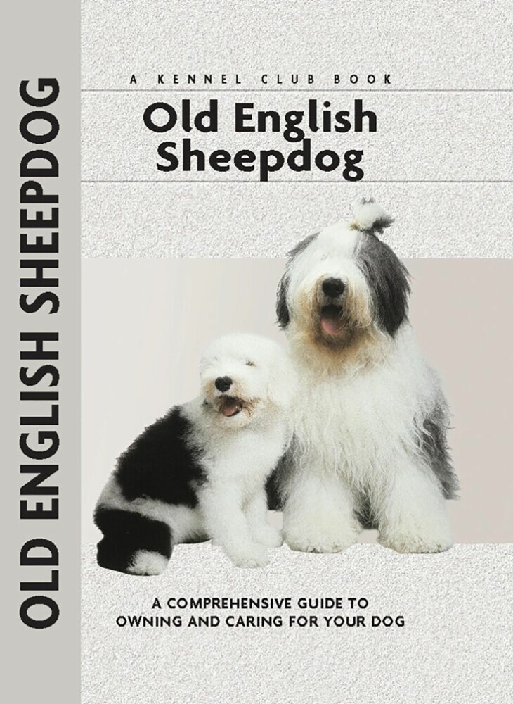Old English Sheepdog main product photo
