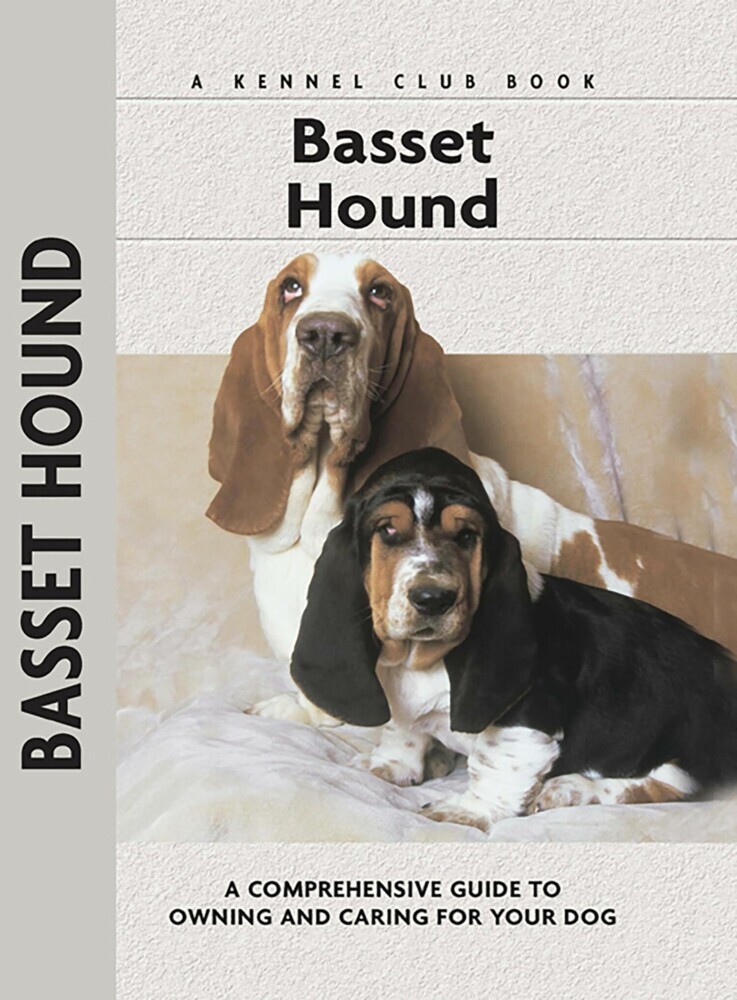 Basset Hound main product photo