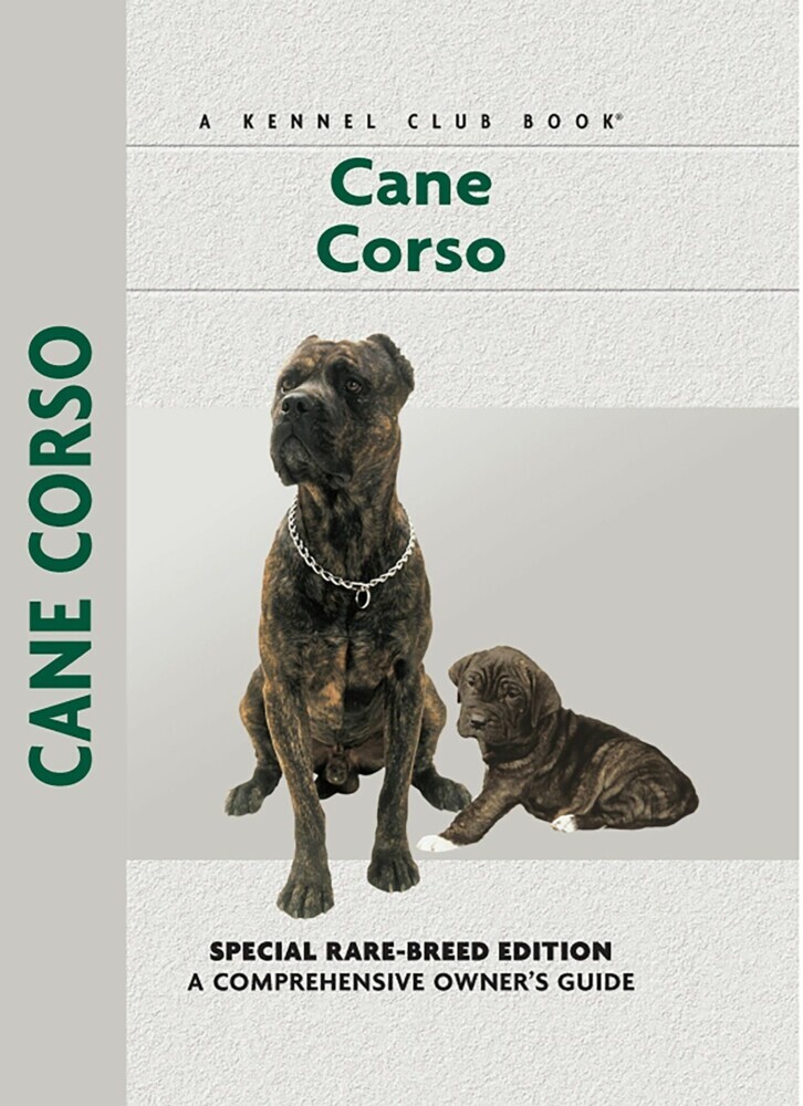 Cane Corso main product photo