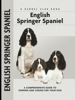 English Springer Spaniel