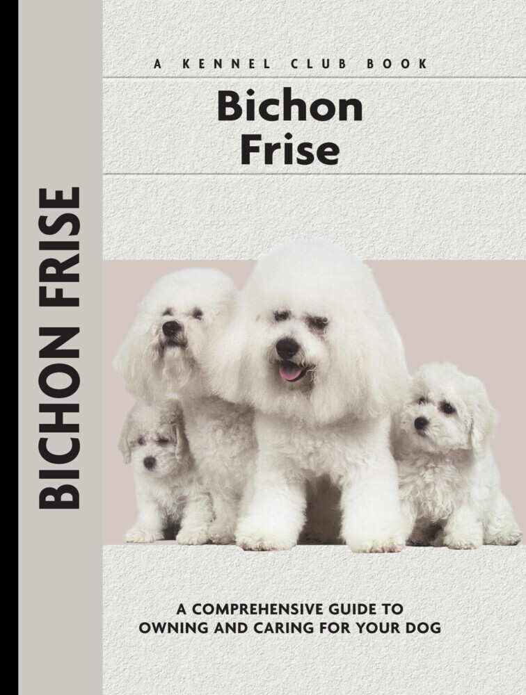 Bichon Frise main product photo
