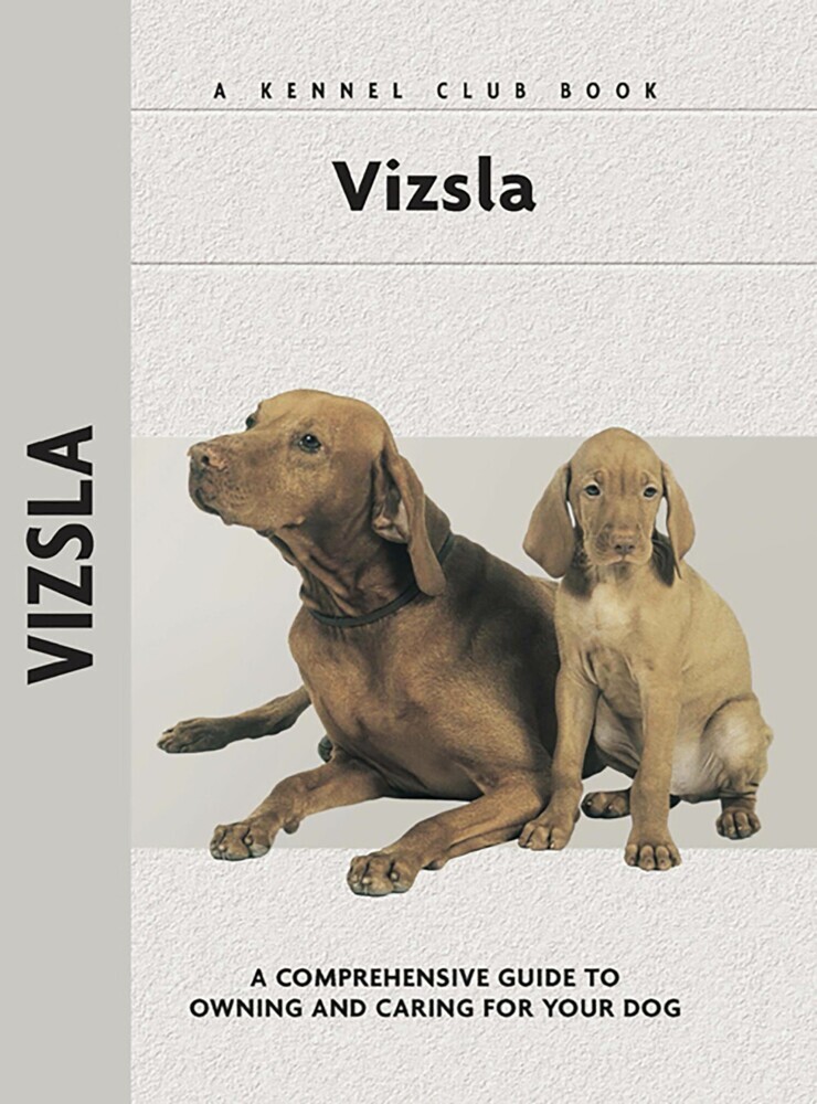Vizsla main product photo
