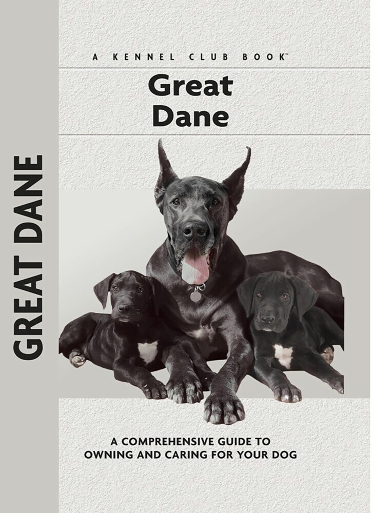 Great Dane main product photo