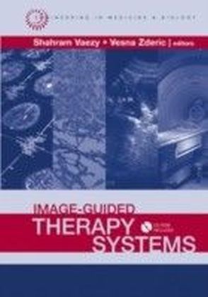 Image-Guided Therapy Systems