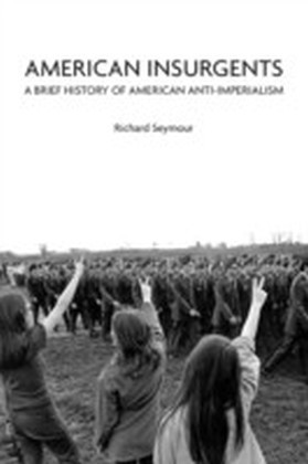 American Insurgents main product photo