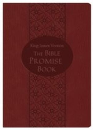 Bible Promise Book Gift Edition (KJV) main product photo