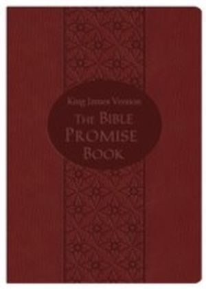Bible Promise Book Gift Edition (KJV)