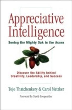 Appreciative Intelligence