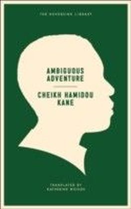 Ambiguous Adventure