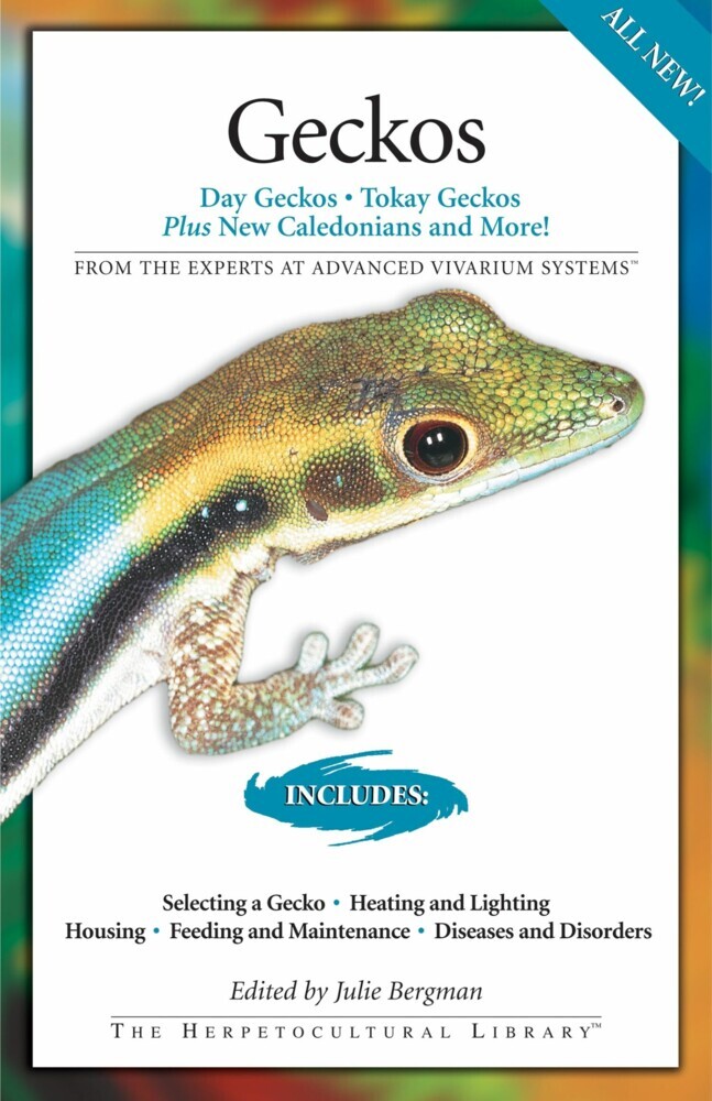 Geckos main product photo