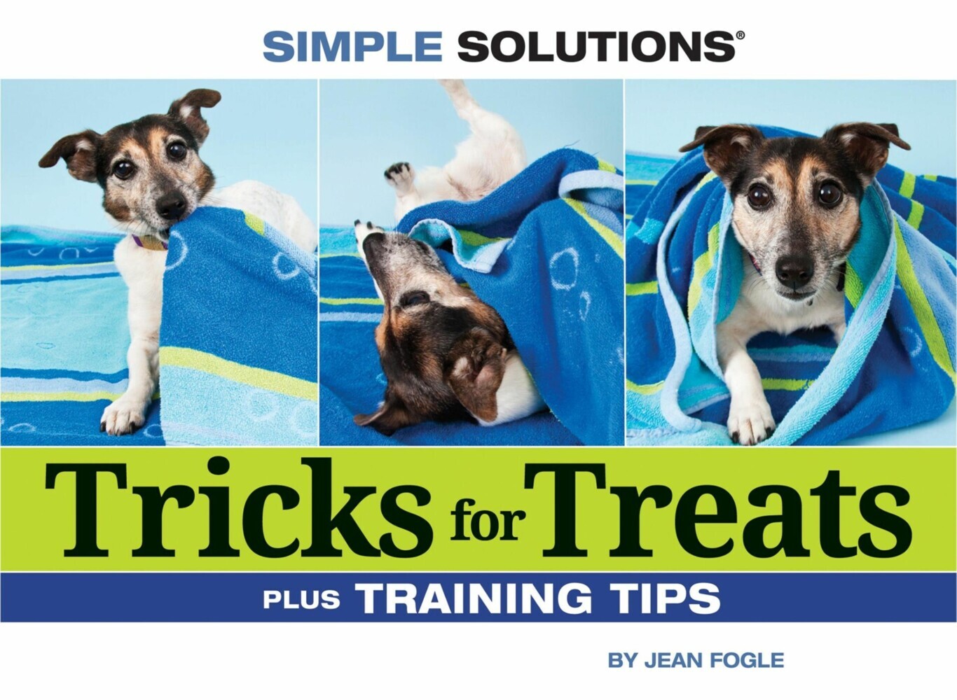 Tricks for Treats main product photo