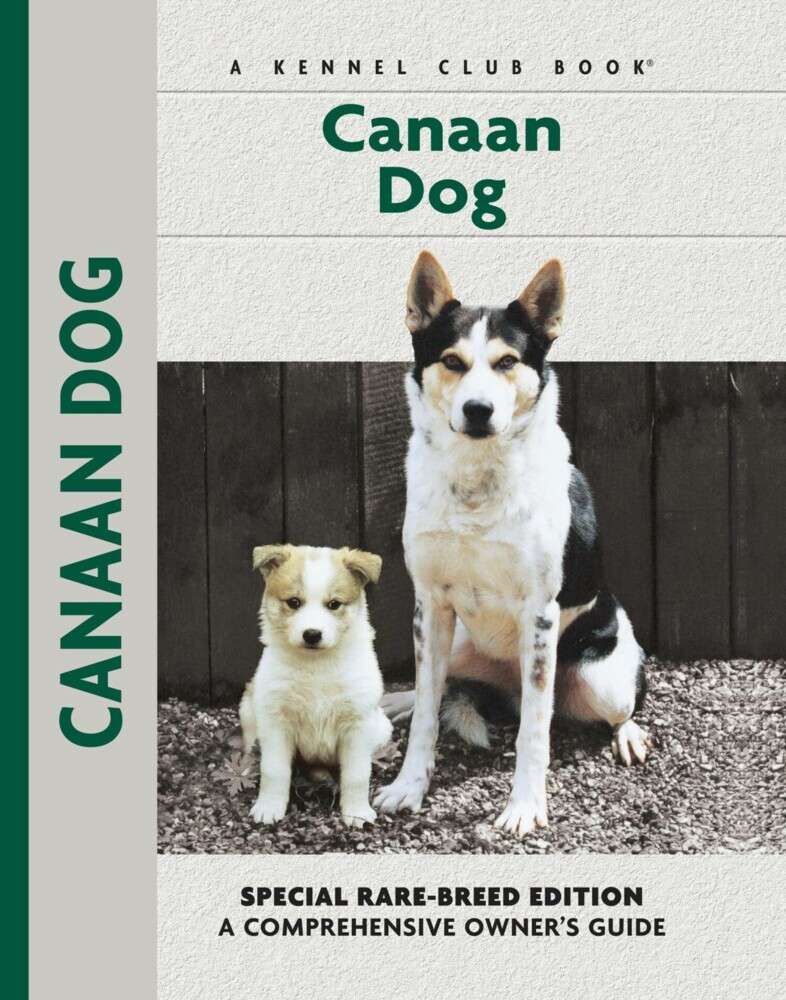 Canaan Dog main product photo