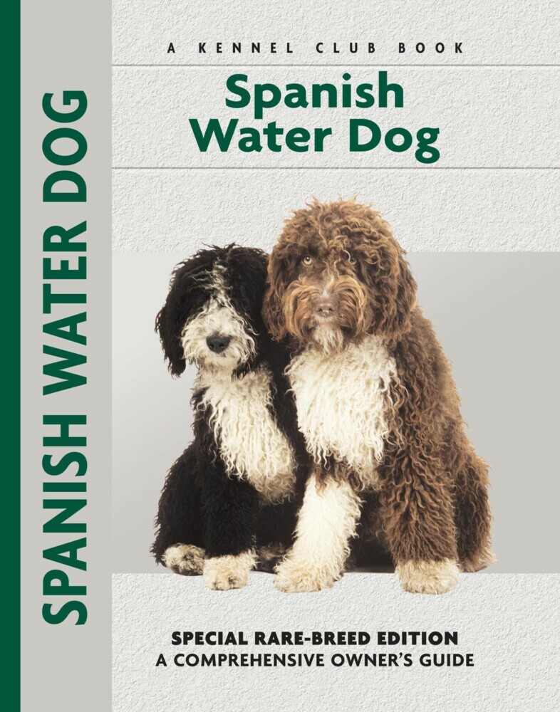 Spanish Water Dog main product photo
