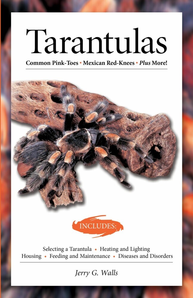 Tarantulas (Advanced Vivarium Systems) main product photo
